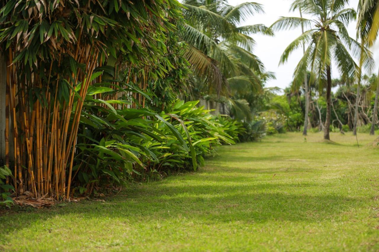 Rathgama Beach House Hotel Galle Kültér fotó